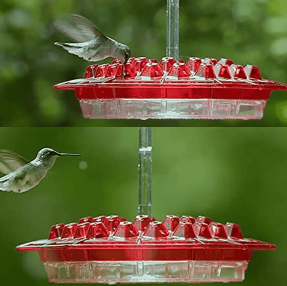 Ant-Proof Hummingbird Feeder with Hanging Perch - Durable Outdoor Design for Attracting Hummingbirds