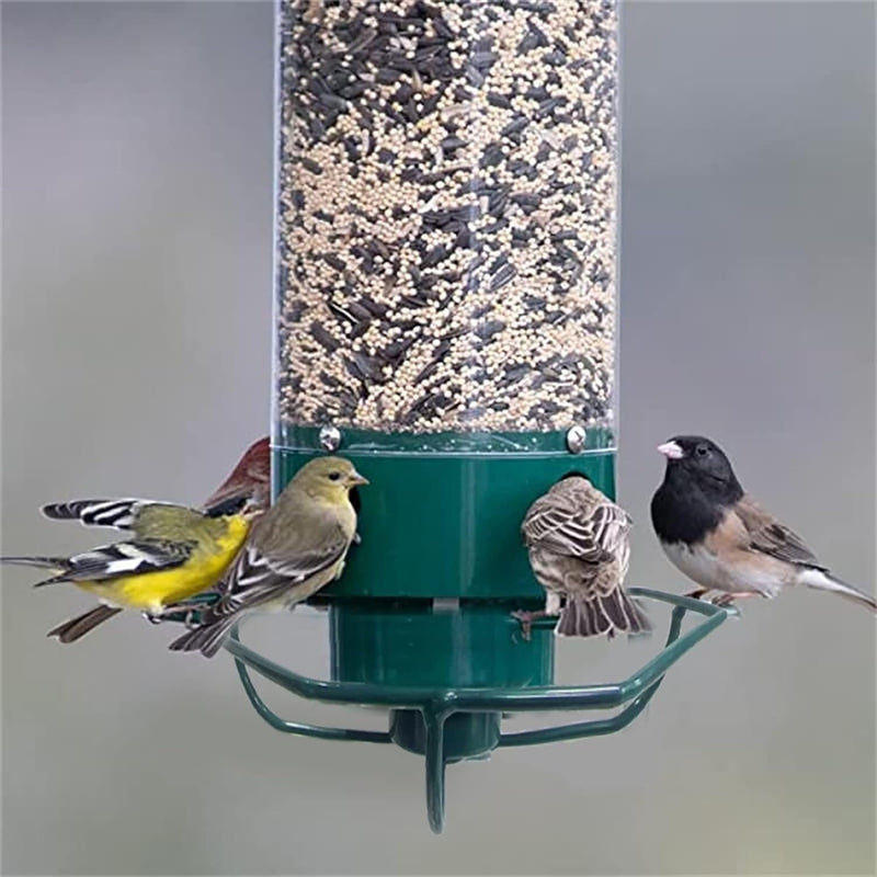 Premium Squirrel-Proof Bird Feeder - Durable, Weather-Resistant Design for Backyard Birdwatching