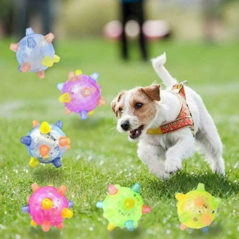 Interactive Jumping Activation Ball for Dogs - Engaging Toy for Active Play and Exercise