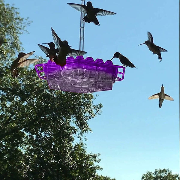 Ant-Proof Hummingbird Feeder with Hanging Perch - Durable Outdoor Design for Attracting Hummingbirds
