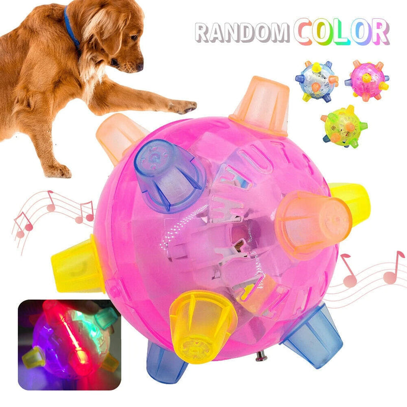 Interactive Jumping Activation Ball for Dogs - Engaging Toy for Active Play and Exercise