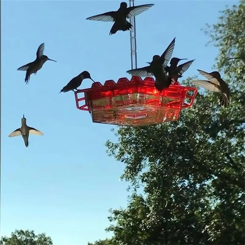 Ant-Proof Hummingbird Feeder with Hanging Perch - Durable Outdoor Bird Feeder for Gardens