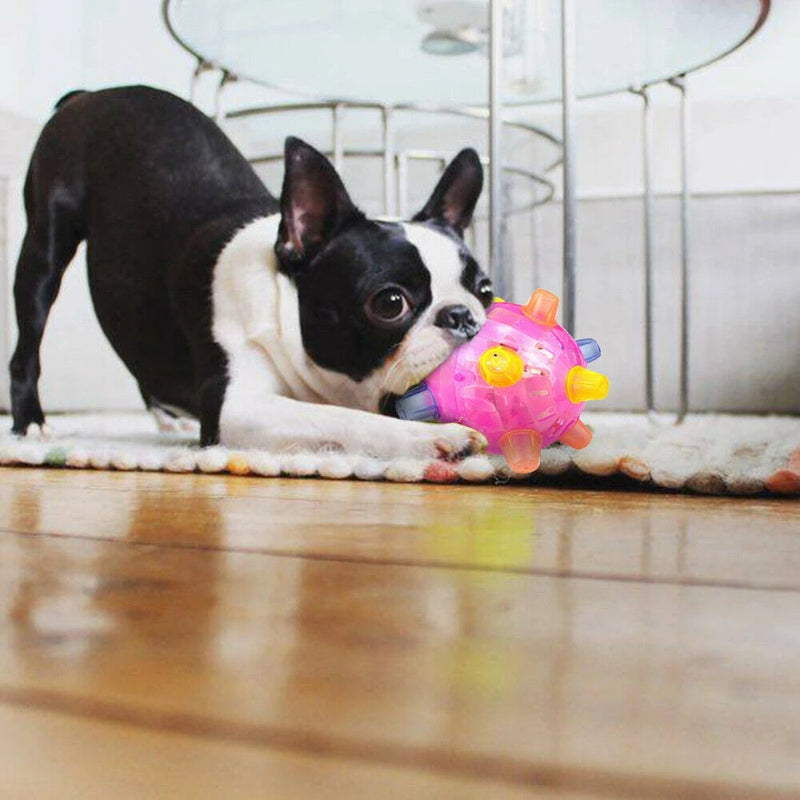 Interactive Jumping Activation Ball for Dogs - Engaging Toy for Active Play and Exercise