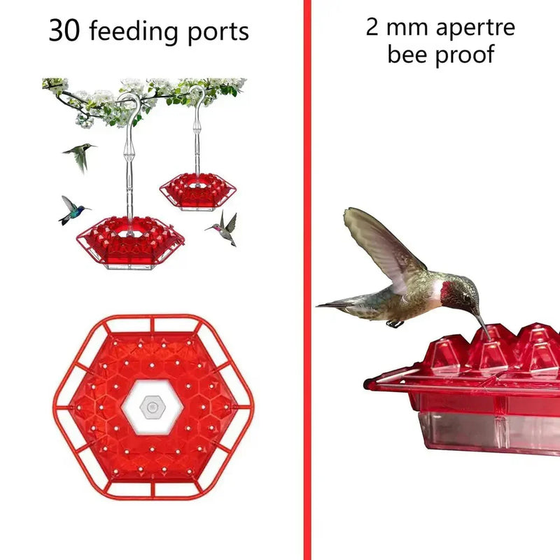 Ant-Proof Hummingbird Feeder with Hanging Perch - Durable Outdoor Bird Feeder for Gardens