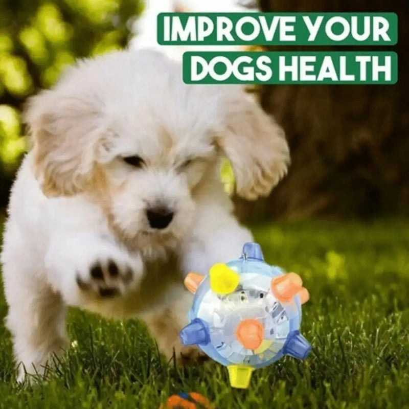 Interactive Jumping Activation Ball for Dogs - Engaging Toy for Active Play and Exercise