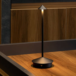 11.41-Inch Cordless Cute Mushroom Table Lamp - Stylish Pina Design for Home Decor