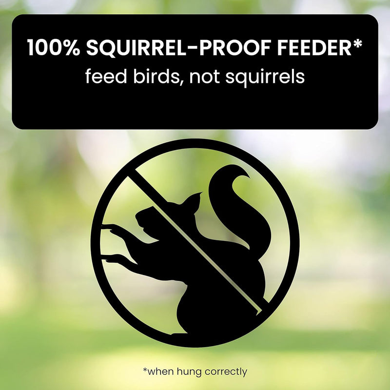 Ultimate Squirrel-Proof Bird Feeder - Durable, Weather-Resistant Design for Backyard Birdwatching