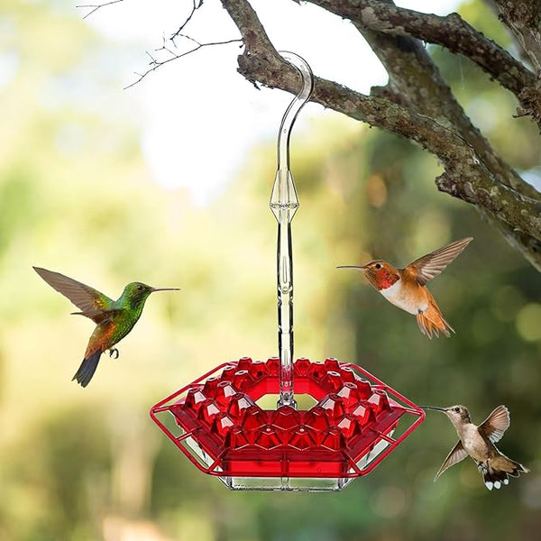 Ant-Proof Hummingbird Feeder with Hanging Perch - Durable Outdoor Bird Feeder for Gardens