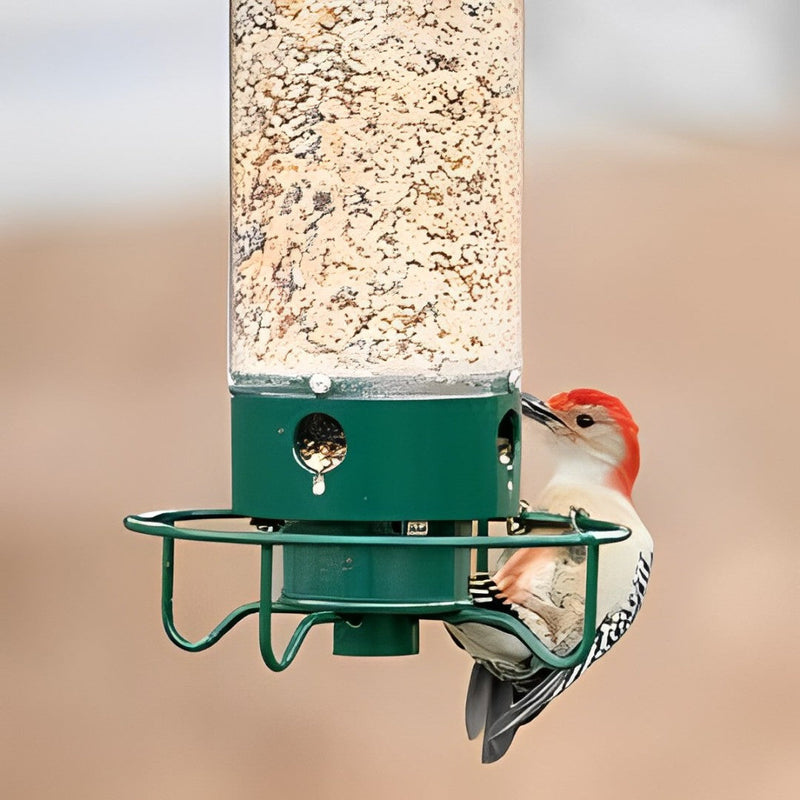 Ultimate Squirrel-Proof Bird Feeder - Durable, Weather-Resistant Design for Backyard Birdwatching