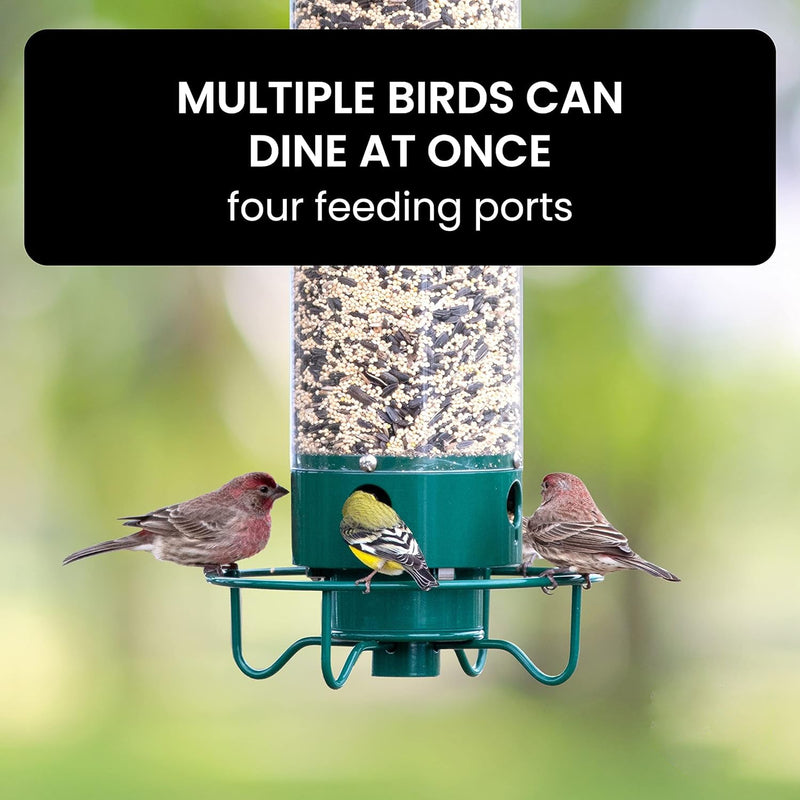 Ultimate Squirrel-Proof Bird Feeder - Durable, Weather-Resistant Design for Backyard Birdwatching