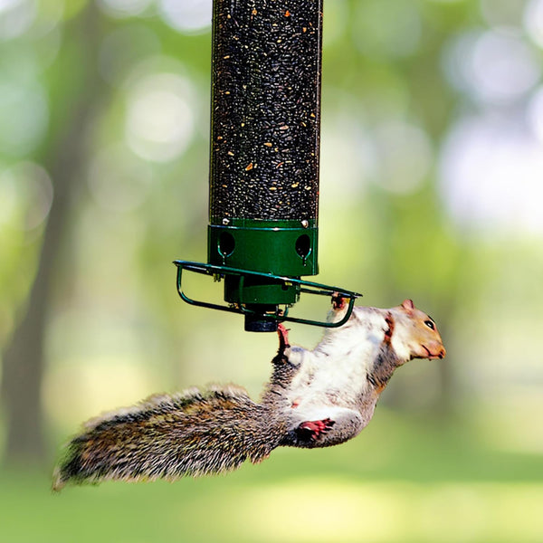 Premium Squirrel-Proof Bird Feeder - Durable, Weather-Resistant Design for Backyard Birdwatching