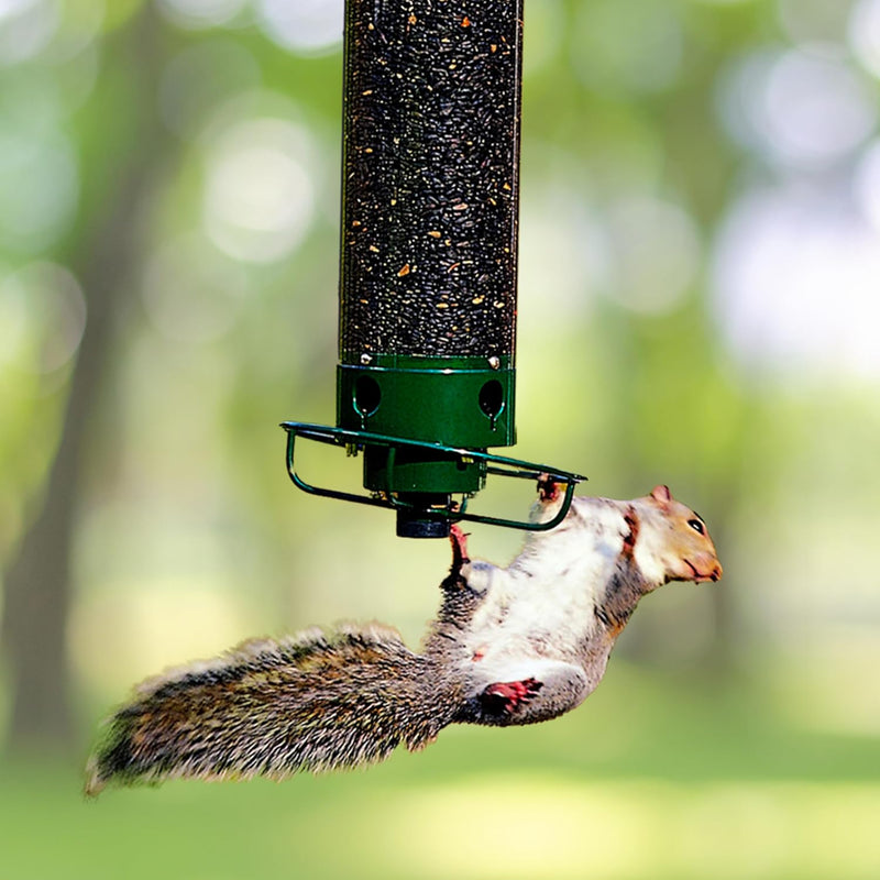 Premium Squirrel-Proof Bird Feeder - Durable, Weather-Resistant Design for Backyard Birdwatching