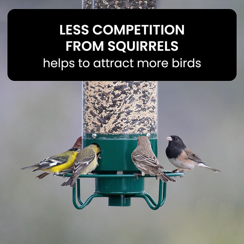 Ultimate Squirrel-Proof Bird Feeder - Durable, Weather-Resistant Design for Backyard Birdwatching