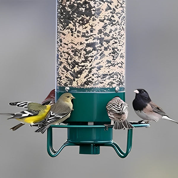Ultimate Squirrel-Proof Bird Feeder - Durable, Weather-Resistant Design for Backyard Birdwatching