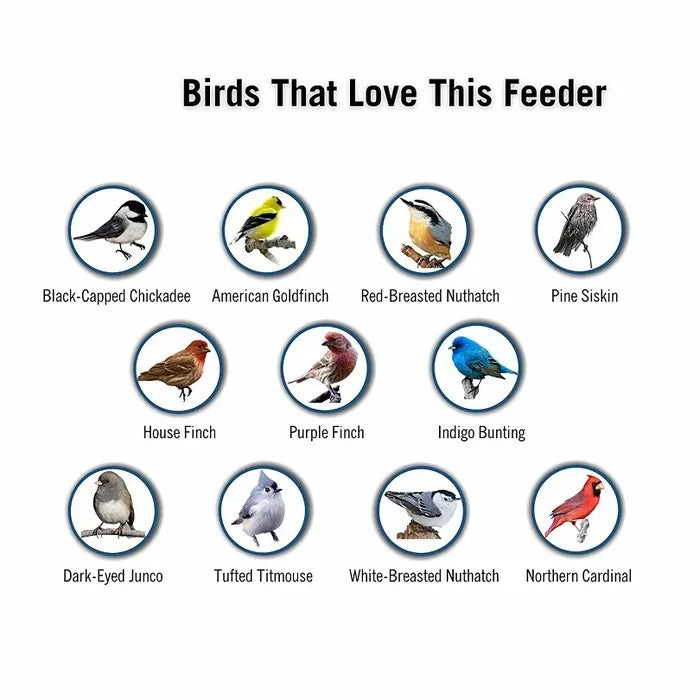 Ultimate Squirrel-Proof Bird Feeder - Durable, Weather-Resistant Design for Backyard Birdwatching