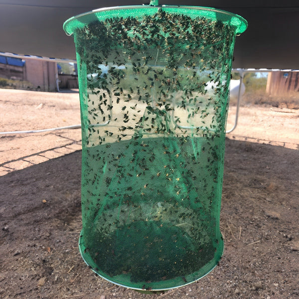 Effective Stable Fly Trap - Eco-Friendly Insect Control Solution for Farms & Stables