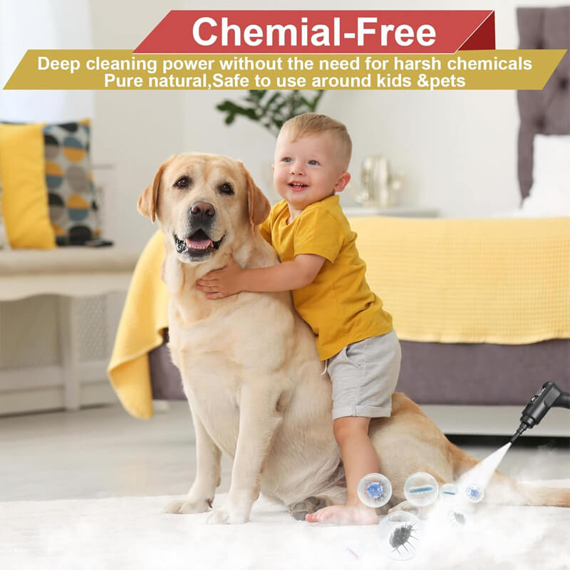 2500W High Pressure Steam Cleaner with Protective Gloves - Powerful, Versatile Cleaning Solution for Home & Outdoor Use