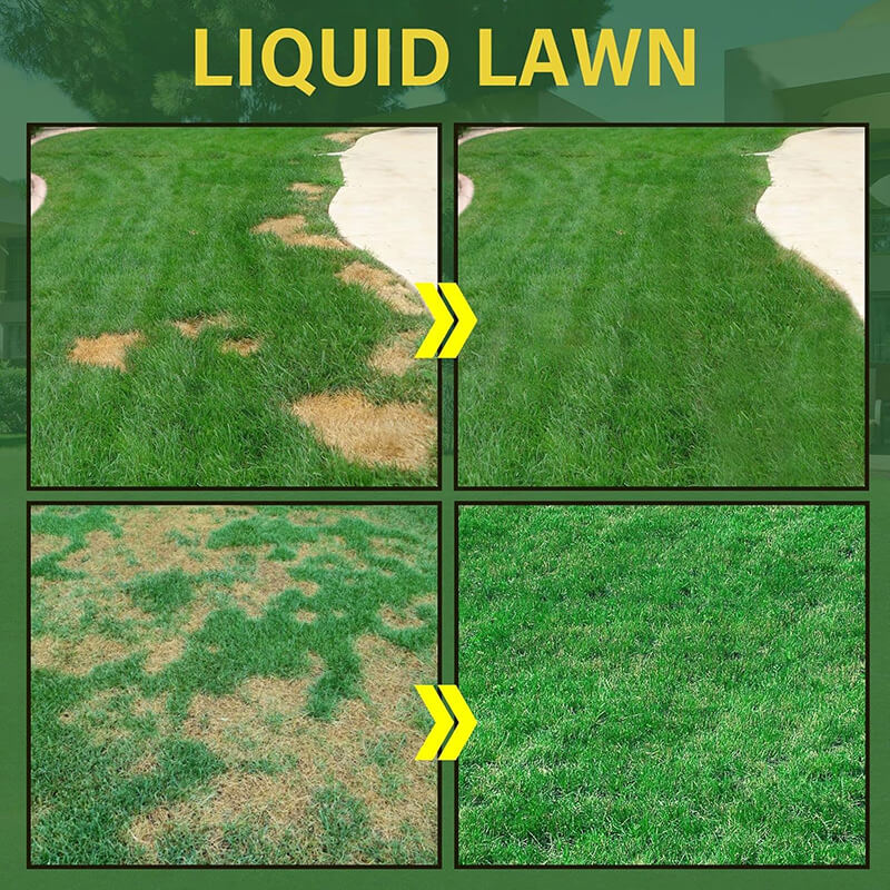 Liquid Grass Seed Spray System - Easy Lawn Green Fertilizer & Seeder for Lush, Healthy Grass