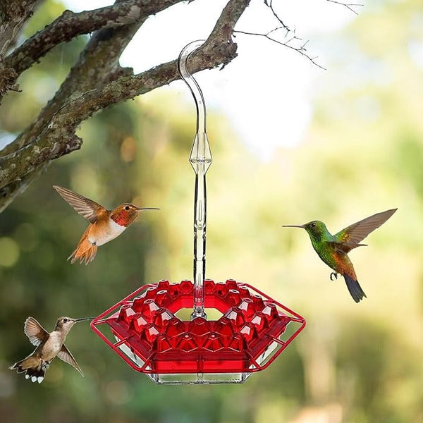 Ant-Proof Hummingbird Feeder with Hanging Perch - Durable Outdoor Bird Feeder for Gardens