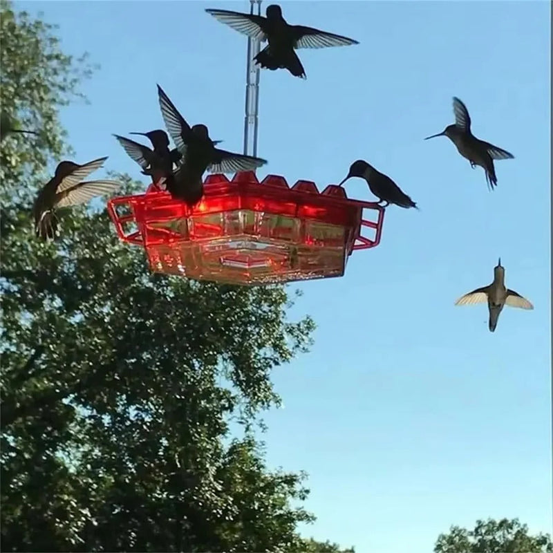 Ant-Proof Hummingbird Feeder with Hanging Perch - Durable Outdoor Bird Feeder for Gardens