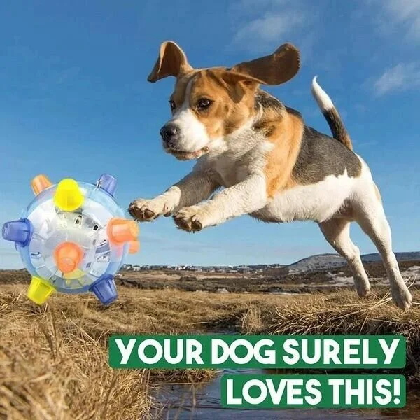 Interactive Jumping Activation Ball for Dogs - Engaging Toy for Exercise & Play