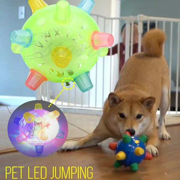 Interactive Jumping Activation Ball for Dogs - Engaging Toy for Exercise & Play