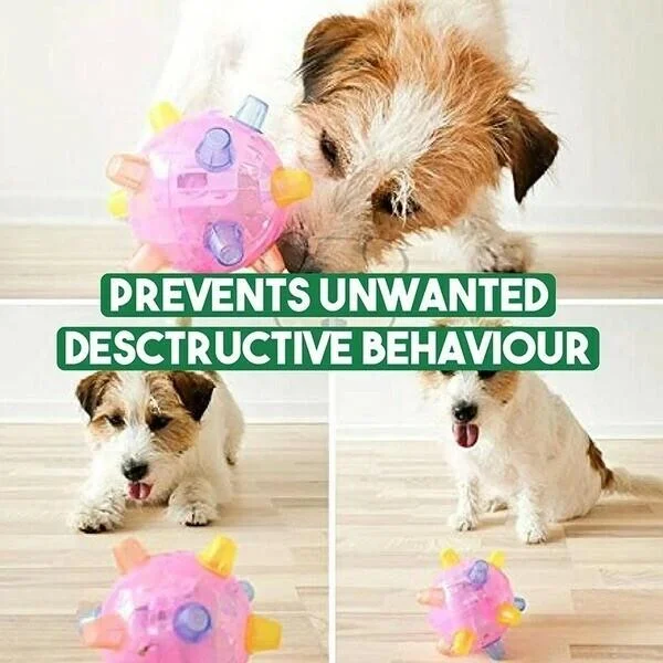 Interactive Jumping Activation Ball for Dogs - Engaging Toy for Exercise & Play