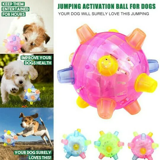 Interactive Jumping Activation Ball for Dogs - Engaging Toy for Exercise & Play