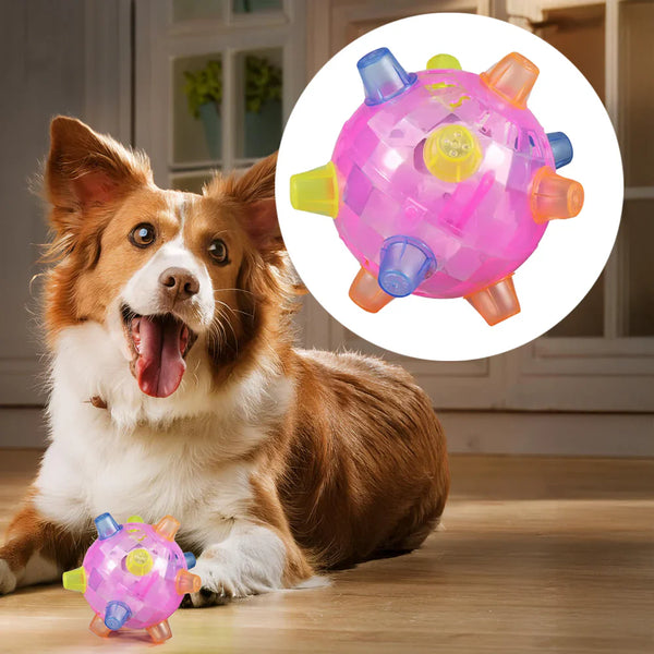 Interactive Jumping Activation Ball for Dogs - Engaging Toy for Active Play and Exercise