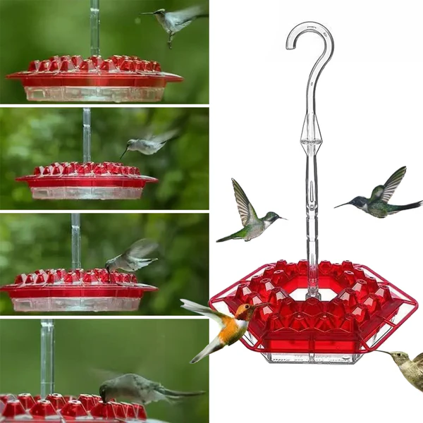Ant-Proof Hummingbird Feeder with 30 Bee-Resistant Feeding Ports - Durable, Easy to Clean, Ideal for Attracting Hummingbirds