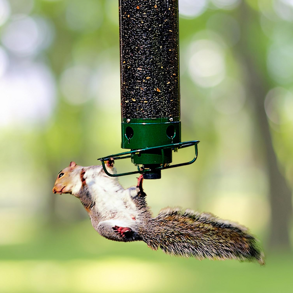Squirrel-Proof Bird Feeder - Durable, Weather-Resistant Design for Wild Birds - Easy to Clean & Fill - Ideal for Backyard Birdwatching