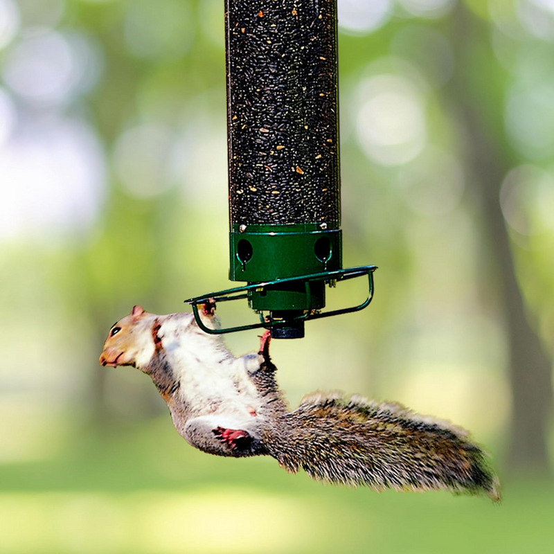 Squirrel-Proof Bird Feeder - Durable, Weather-Resistant Design for Wild Birds - Easy to Clean & Fill - Ideal for Backyard Birdwatching