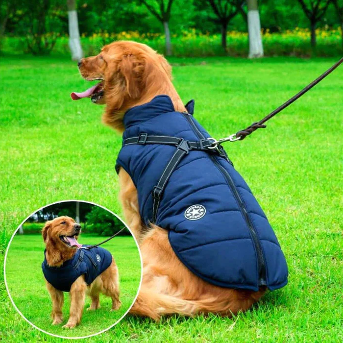 Waterproof Winter Dog Jacket with Sherpa-Fleece Lining & Built-in Harness – Ultimate Warmth & Comfort for Your Pet