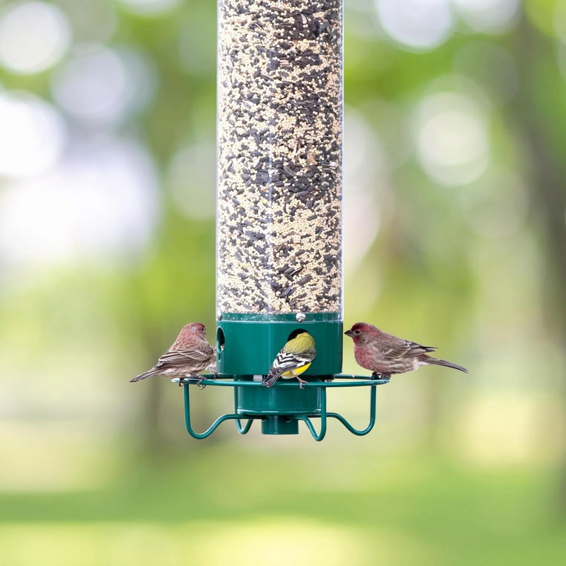 Squirrel-Proof Bird Feeder - Durable, Weather-Resistant Design for Wild Birds - Easy to Clean & Fill - Ideal for Backyard Birdwatching