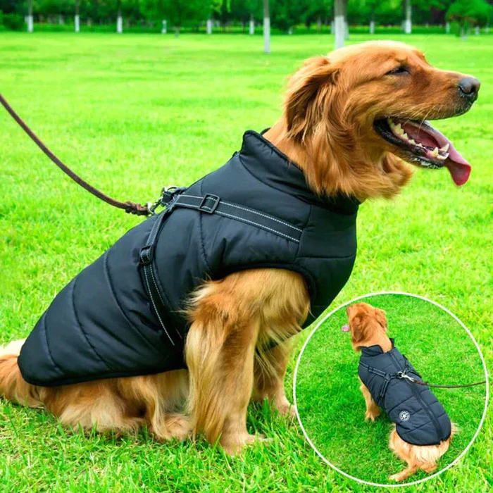 Waterproof Winter Dog Jacket with Sherpa-Fleece Lining & Built-in Harness – Ultimate Warmth & Comfort for Your Pet
