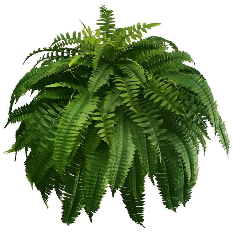 UV-Resistant Lifelike Boston Fern - Perfect for Outdoor Decor & Landscaping