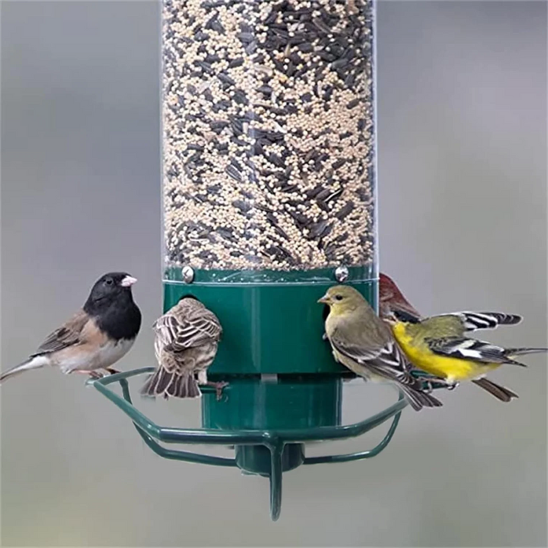 Squirrel-Proof Bird Feeder - Durable, Weather-Resistant Design for Wild Birds - Easy to Clean & Fill - Ideal for Backyard Birdwatching
