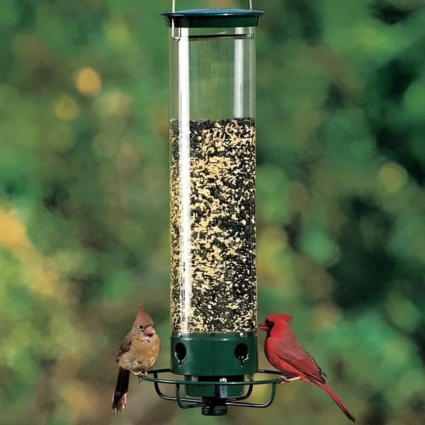 Ultimate Squirrel-Proof Bird Feeder - Durable, Weather-Resistant Design for Backyard Birdwatching
