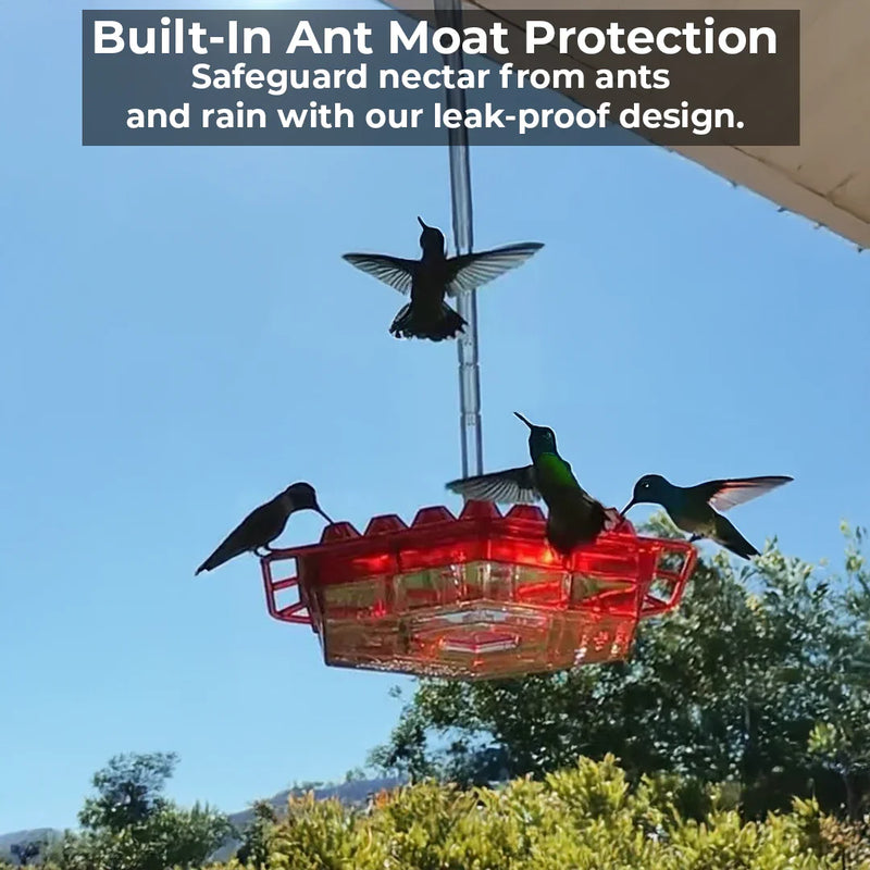 Ant-Proof Hummingbird Feeder with 30 Bee-Resistant Feeding Ports - Durable, Easy to Clean, Ideal for Attracting Hummingbirds