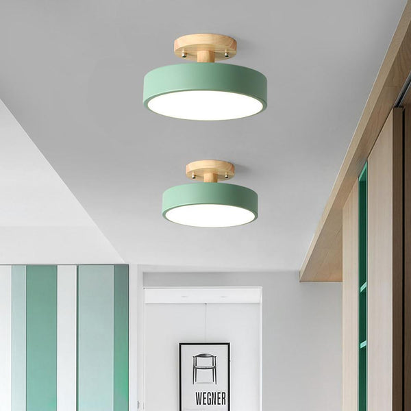 Modern Round 3-Step Dimming LED Flush Mount Ceiling Light - Stylish & Energy-Efficient Lighting Solution