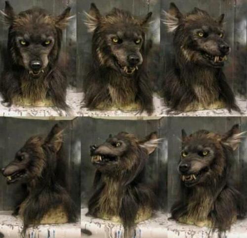 Realistic Scary Wolf Mask - Perfect Costume Accessory for Halloween & Masquerade Parties