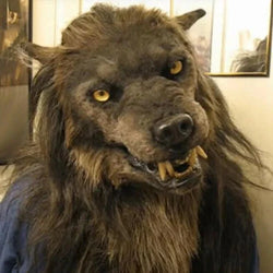 Realistic Scary Wolf Mask - Perfect Costume Accessory for Halloween & Masquerade Parties